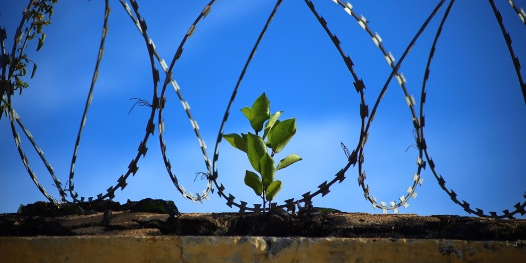 canzone-efficace-valium-psicofarmaci-musica_2